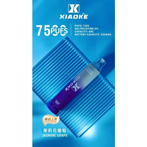 1733109461e9fbcdbf26f781b76a8978df9e0f268c_local-500x500-1.webp 【台灣現貨】XIAOKE 梟客 7500口 拋棄式電子煙 8ml長效續航穩定輸出 650mAh Type-C快充