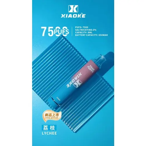 1733109461ff332b3cd8883f5d666badbca7b6a4ed_local-500x500-1.webp 【台灣現貨】XIAOKE 梟客 7500口 拋棄式電子煙 8ml長效續航穩定輸出 650mAh Type-C快充
