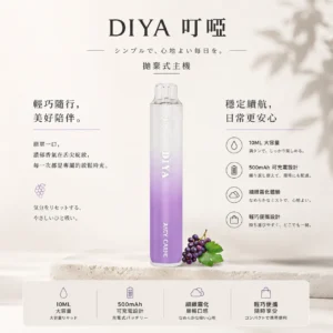 ChatGPT-Image-2026年8月21日-上午02_02_03.webp DIYA 叮啞 7500口 拋棄式電子煙|極致冰爽系列+10ml 大容量,500mAh 可充電設計
