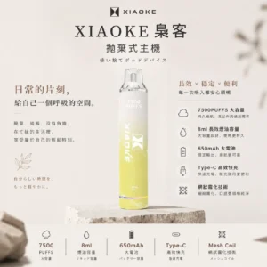ChatGPT-Image-2026年8月25日-下午10_13_07.webp 【台灣現貨】XIAOKE 梟客 7500口 拋棄式電子煙 8ml長效續航穩定輸出 650mAh Type-C快充