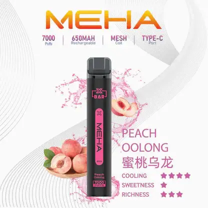MEHA XBAR 魅嗨 小黑條 7000口 拋棄式電子煙｜Mesh 芯強勁爆發力＋極強冰感體驗，3% 尼古丁鹽黃金配方搭配 650mAh 可充電長效續航