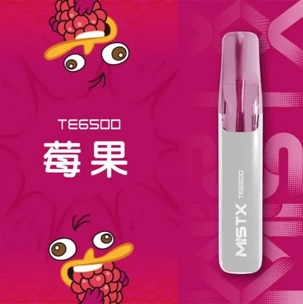 MISTX-鴨嘴獸-TE6500-Puffs-莓果.webp Mist X 鴨嘴獸 6500口 拋棄式電子煙|獨家萌系外觀+冰爽水果口味清涼入喉,650mAh 大電量可充電續航,2% 尼古丁鹽