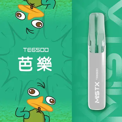Mist X 鴨嘴獸 6500口 拋棄式電子煙｜獨家萌系外觀＋冰爽水果口味清涼入喉，650mAh 大電量可充電續航，2% 尼古丁鹽