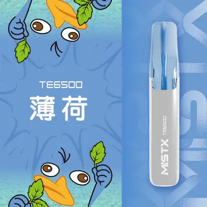 Mist X 鴨嘴獸 6500口 拋棄式電子煙｜獨家萌系外觀＋冰爽水果口味清涼入喉，650mAh 大電量可充電續航，2% 尼古丁鹽