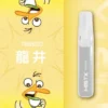 Mist X 鴨嘴獸 6500口 拋棄式電子煙｜獨家萌系外觀＋冰爽水果口味清涼入喉，650mAh 大電量可充電續航，2% 尼古丁鹽